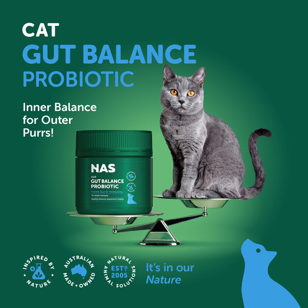 Natural Animal Solutions Gut Balance Probiotic - Feline - Give Paws