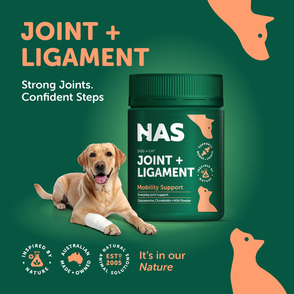 Natural Animal Solutions Joint + Ligament - Give Paws