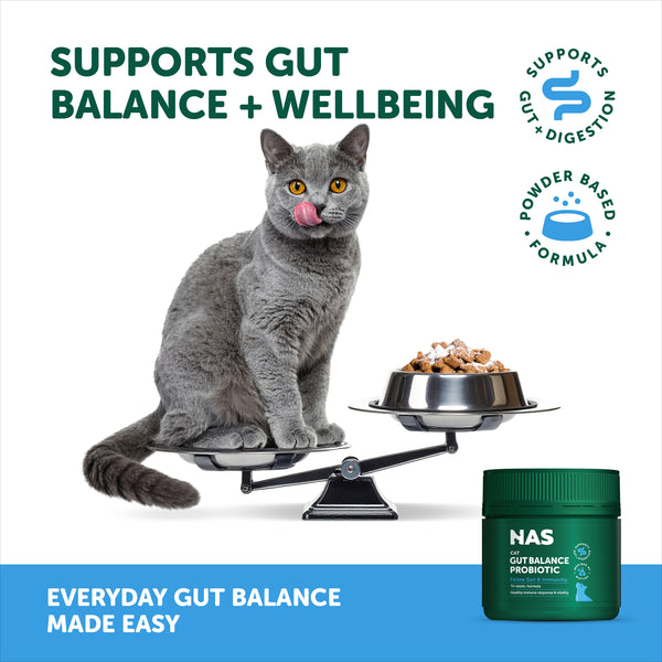 Natural Animal Solutions Gut Balance Probiotic - Feline - Give Paws