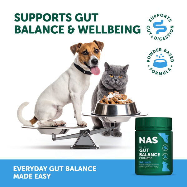 Natural Animal Solutions Gut Balance Probiotic - Give Paws