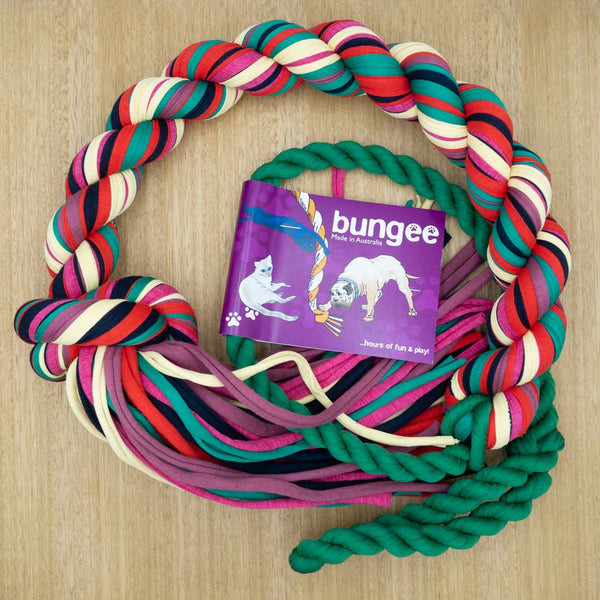 Bungee Rope - Large - Give Paws