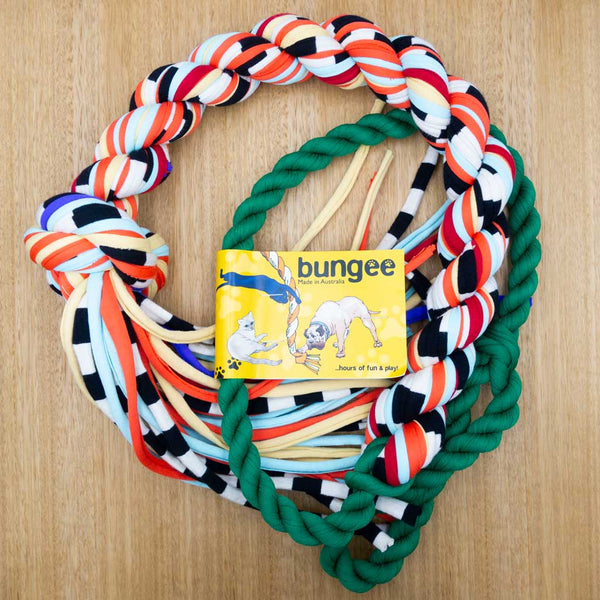 Bungee Rope - Medium - Give Paws