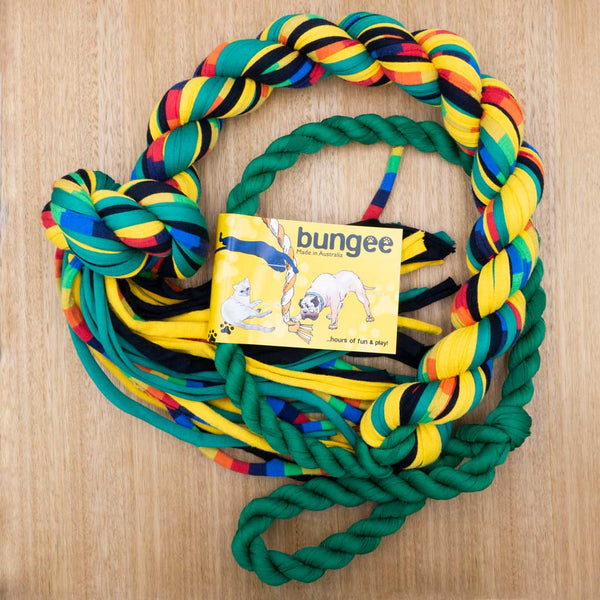 Bungee Rope - Medium - Give Paws