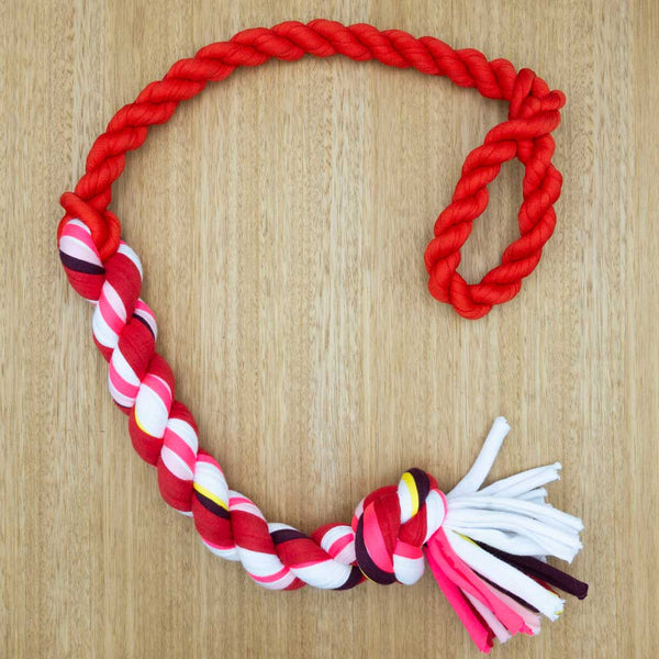 Bungee Rope - Small - Give Paws