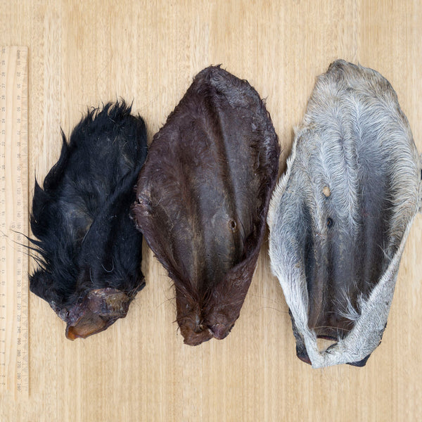 3/4 Cow Ears - Give Paws