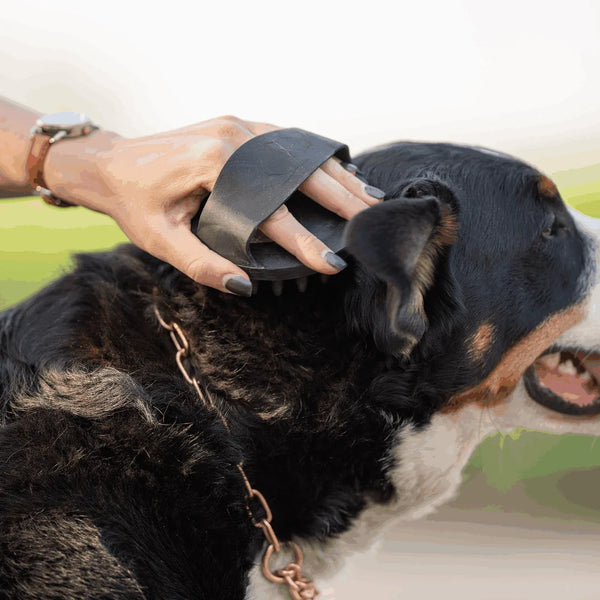 Herm Sprenger Round Plugging Brush, Round - Give Paws