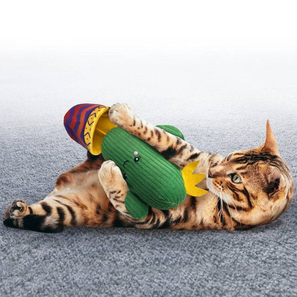 KONG Wrangler Cactus - Give Paws