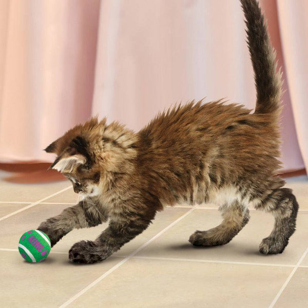 KONG Balls with Bells - Give Paws