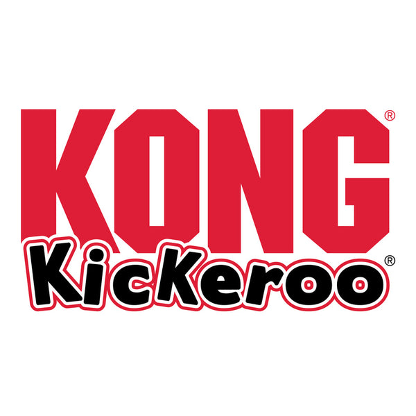 KONG Kickeroo Swirl - Give Paws