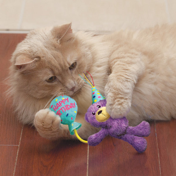 KONG Cat Occasions Birthday Teddy - Give Paws
