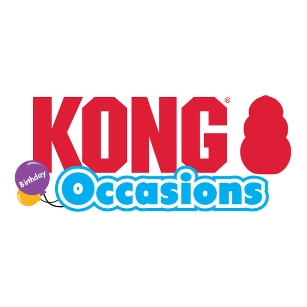 KONG Cat Occasions Birthday Teddy - Give Paws