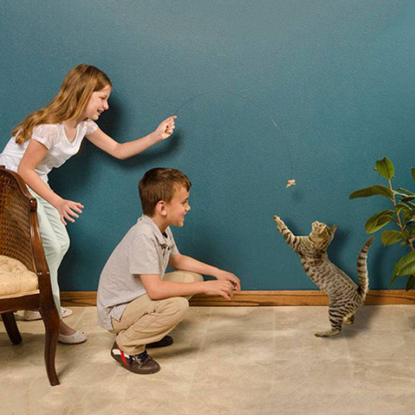 Cat Dancer Original Interactive Wire Spring Cat Toy - Give Paws