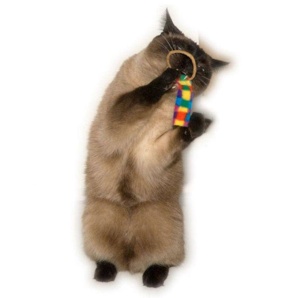 Cat Dancer Chasers - Give Paws