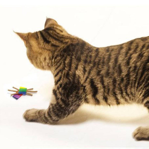 Cat Dancer Chasers - Give Paws