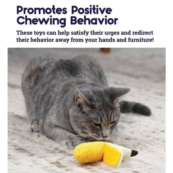 Outward Hound Dental Banana Cat Chew Toy - Give Paws