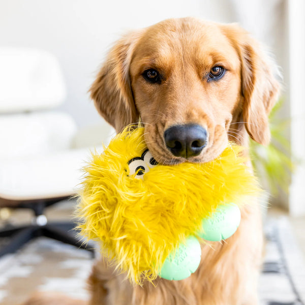West Paw Rowdies Rough Play Toy - Rolf - Give Paws