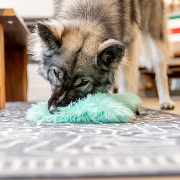 West Paw Rowdies Rough Play Toy - Bjorn - Give Paws