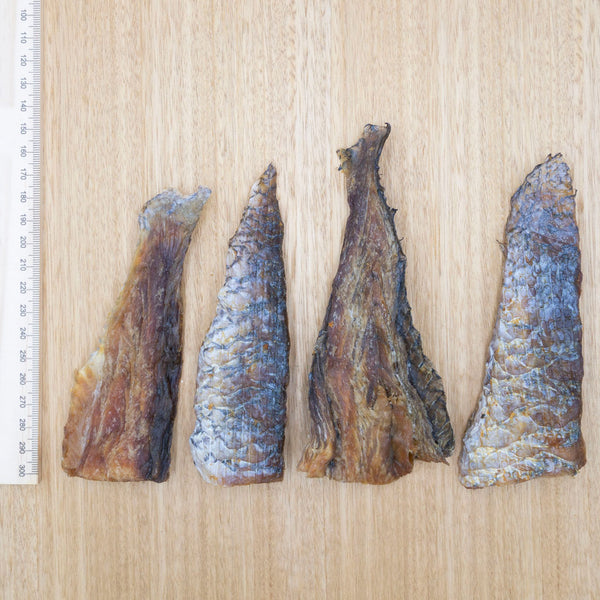 Barramundi Tails