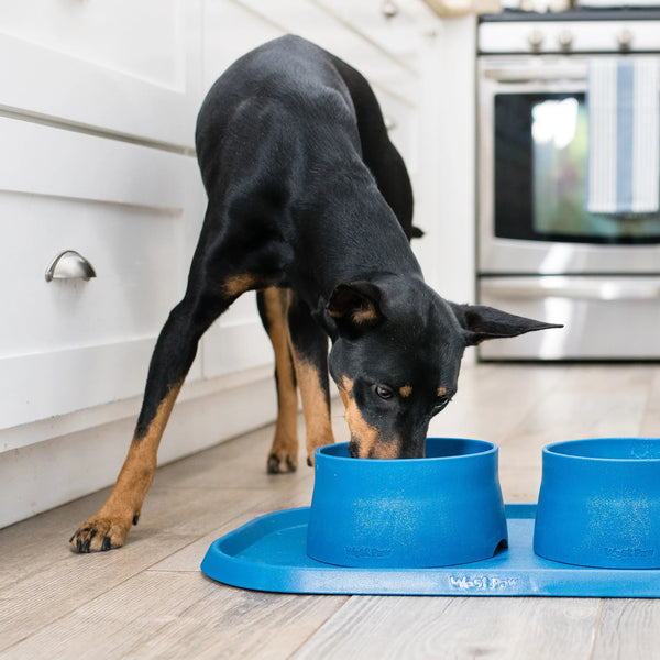 West Paw Placemat