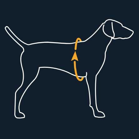 Ruffwear Hi & Light Dog Harness - Give Paws
