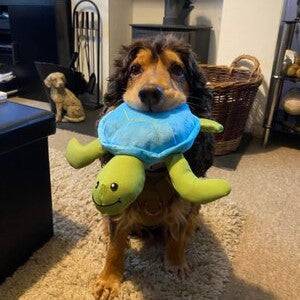 Sustainapaws Turtle 100% Recycled Plastic Double Layered Plush Dog Toy - Give Paws
