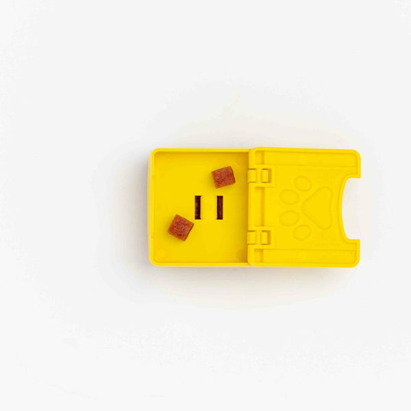 Zoey Pawzle - Give Paws