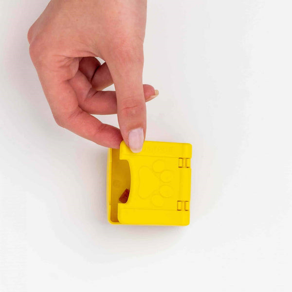 Zoey Pawzle - Give Paws