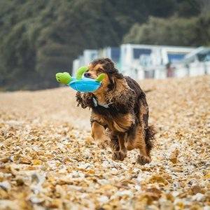 Sustainapaws Turtle 100% Recycled Plastic Double Layered Plush Dog Toy - Give Paws