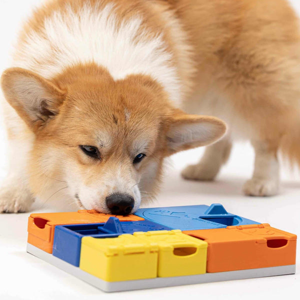 Pawzler Rainbow Set - Give Paws