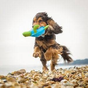 Sustainapaws Turtle 100% Recycled Plastic Double Layered Plush Dog Toy - Give Paws