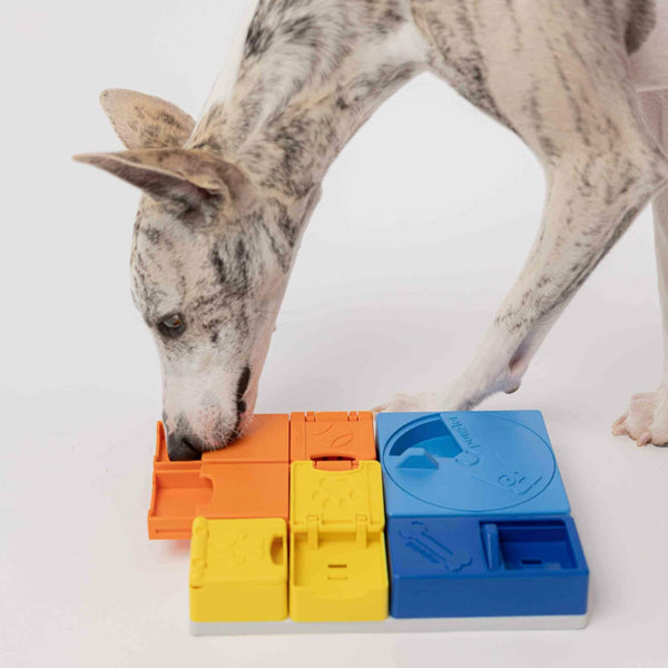 Pawzler Rainbow Set - Give Paws