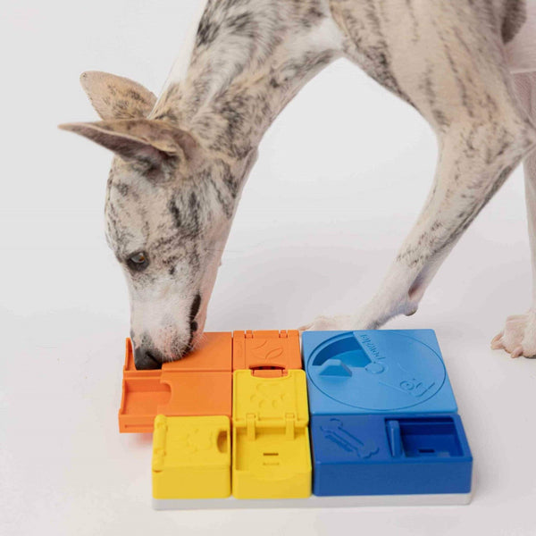 Pawzler Rainbow Set - Give Paws