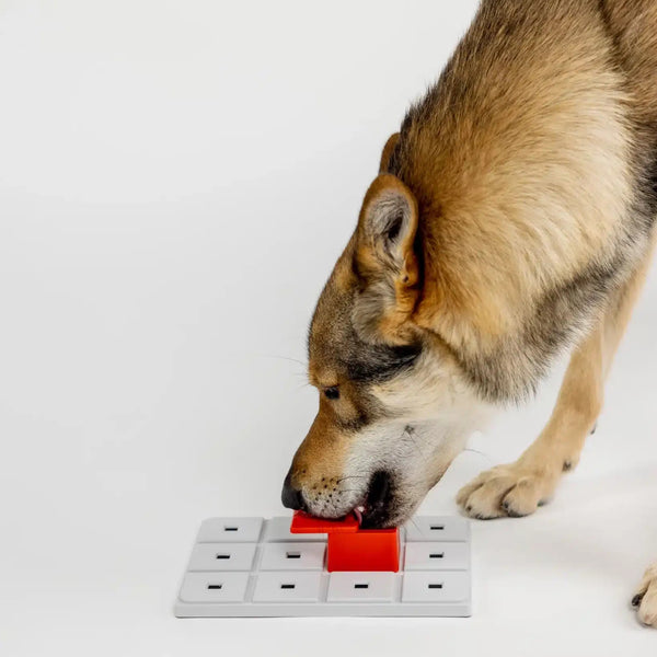 Peach Pawzle - Give Paws