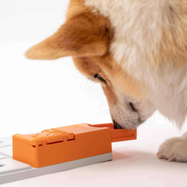 Maya Pawzle - Give Paws