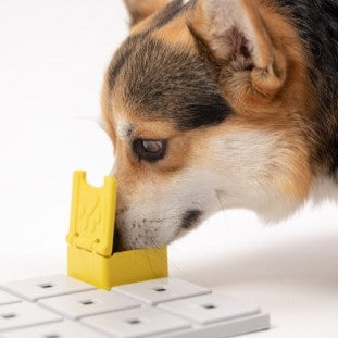 Zoey Pawzle - Give Paws