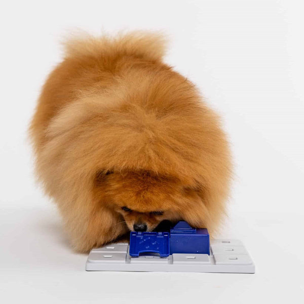 Sela Pawzle - Give Paws