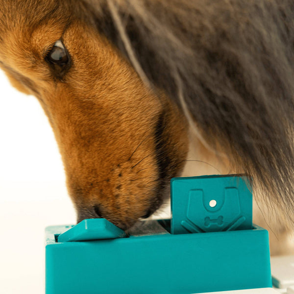 Nai Pawzle - Give Paws