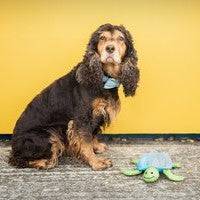 Sustainapaws Turtle 100% Recycled Plastic Double Layered Plush Dog Toy - Give Paws