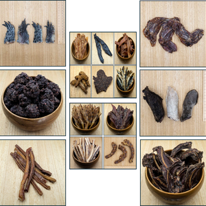 Puppy Pack - Variety Is The Spice of Life - Give Paws