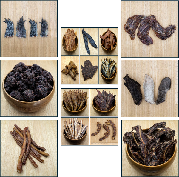 Puppy Pack - Variety Is The Spice of Life - Give Paws