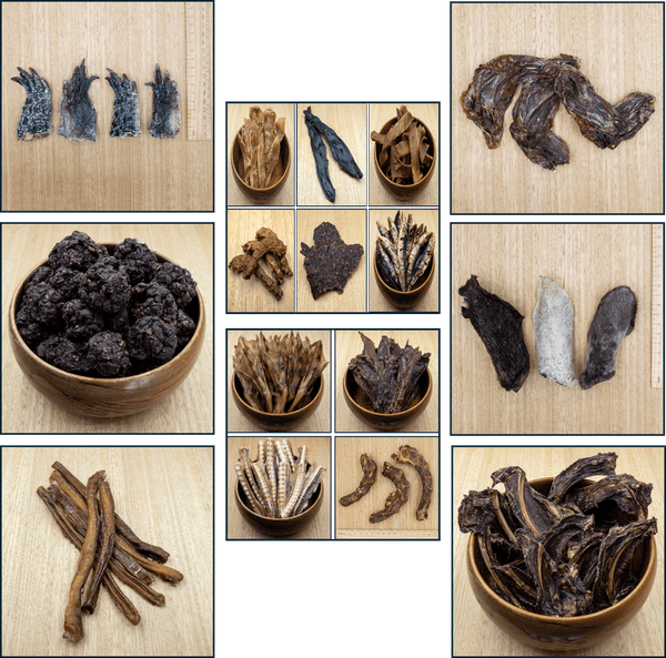 Puppy Pack - Variety Is The Spice of Life - Give Paws