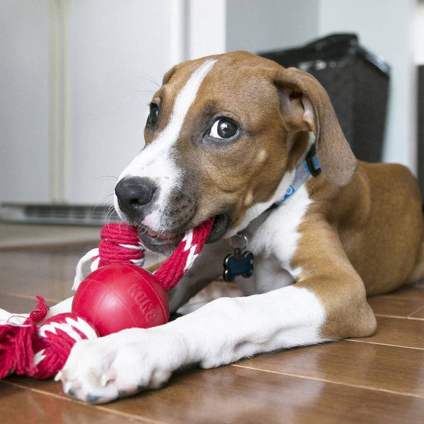 KONG Ball with Rope - Give Paws