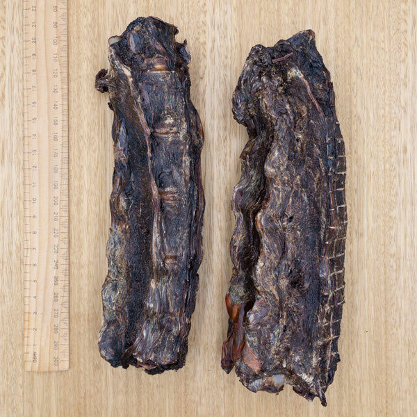 Kangaroo Lumbar - Give Paws