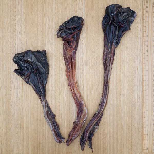 Kangaroo Tendons - Give Paws