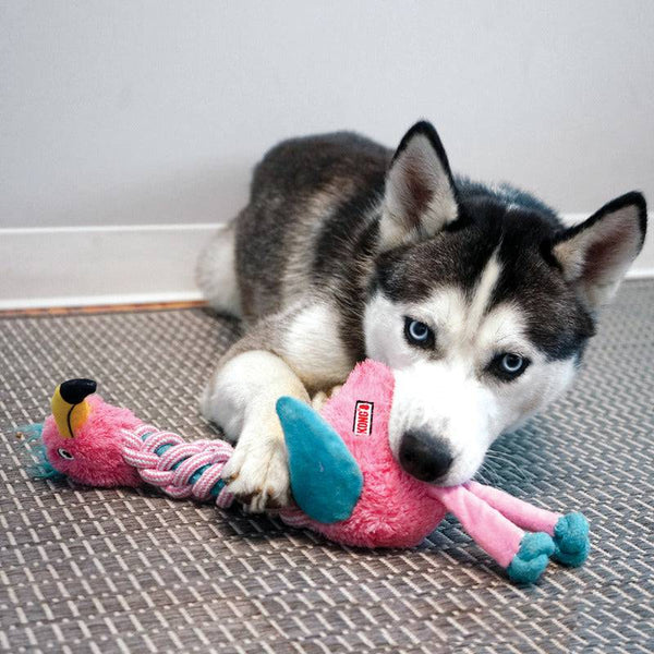KONG Knots Twists - Give Paws