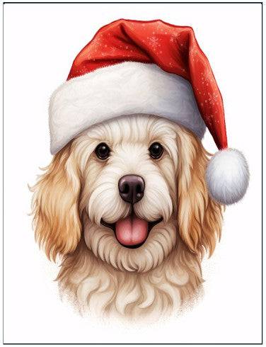 Christmas Cards - Give Paws