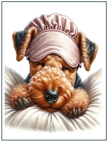 Get Well Soon Cards - Give Paws