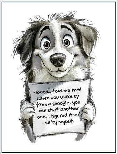 Multi-purpose Cards - Give Paws