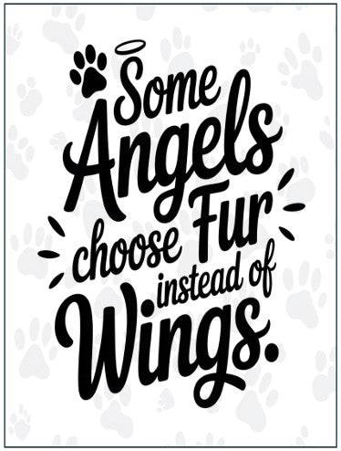 Sympathy Cards - Give Paws