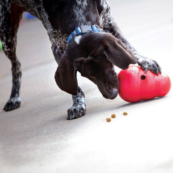 KONG Wobbler - Give Paws